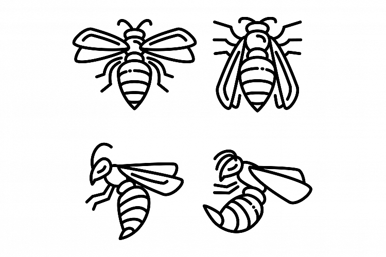 Wasp icons set, outline style example image 1