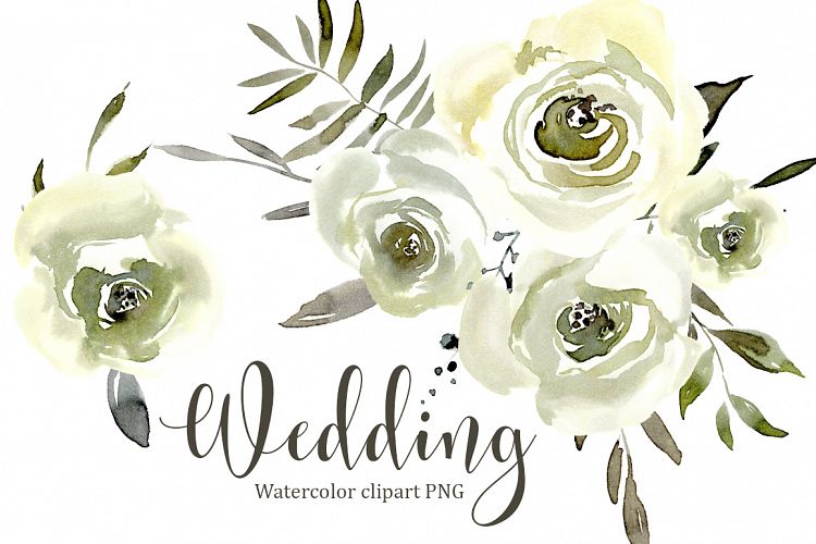 Watercolor White Roses Flowers PNG set