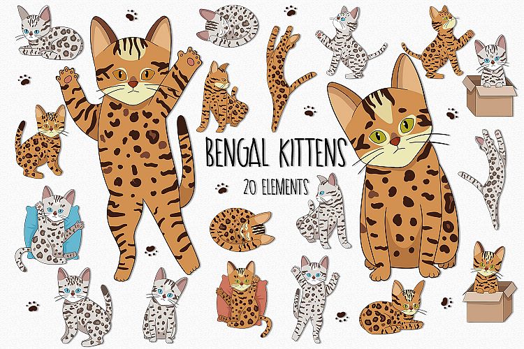 Kitten Clipart