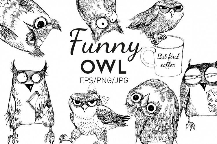 Funny owl collection