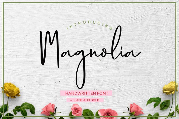 Magnolia