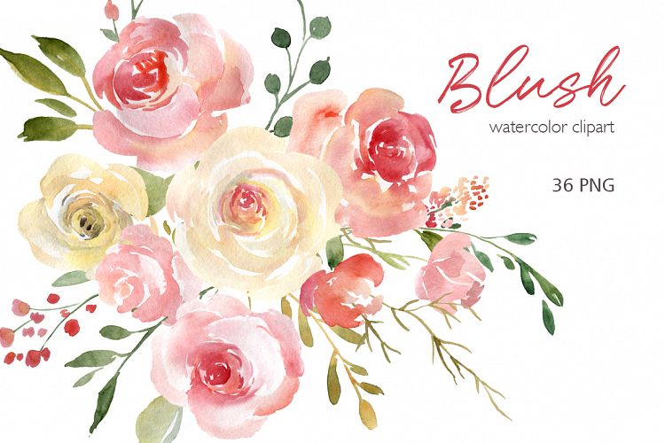 Blush Watercolor Flowers Roses Peony PNG Collection