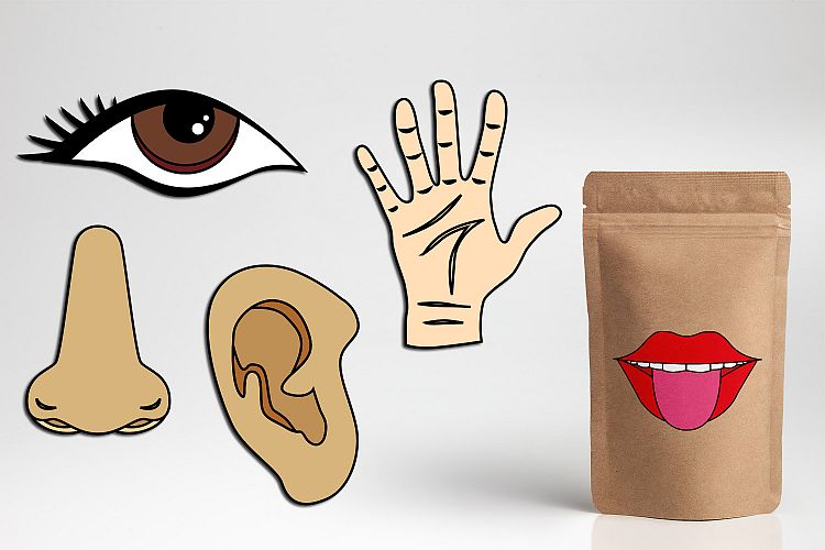 Five senses clipart / tongue mouth, nose, ear, eye, hand