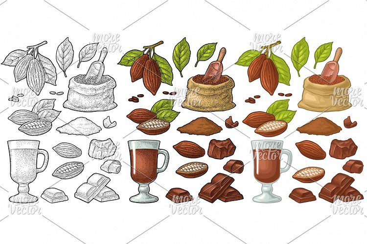 Chocolate piece, bar, shave Fruits of cocoa color engraving