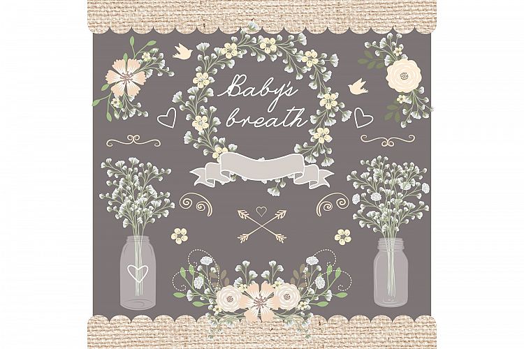 Vector Rustic babys breath clipart