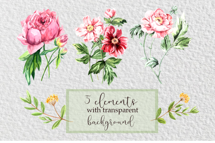 Watercolor Peonies Prints, Patterns & Clip Arts