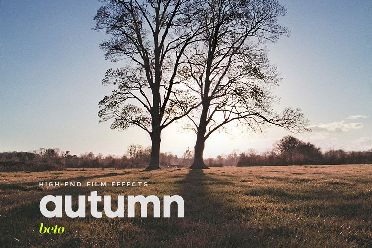 Autumn Action