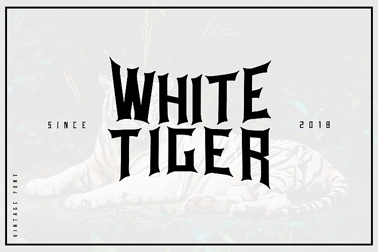 White tiger