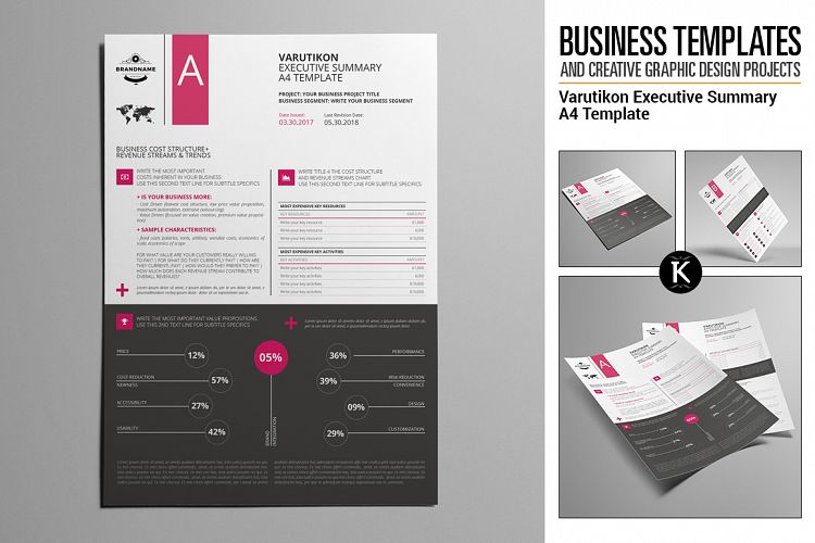 Varutikon Executive Summary A4 Template