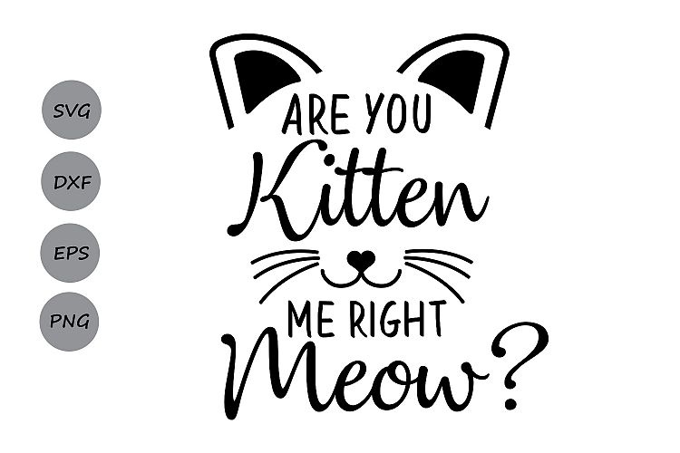 Download Are you kitten me right meow? SVG, cat svg, kitten svg, Are you kitten me svg, silhouette files ...