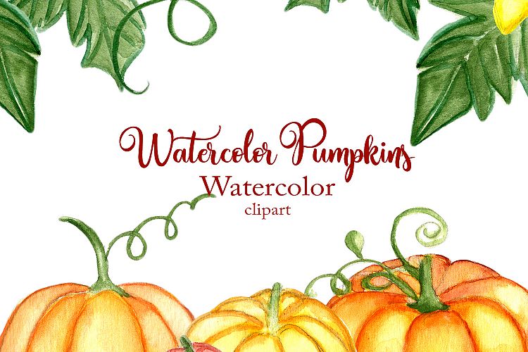 Watercolor Pumpkin Clipart