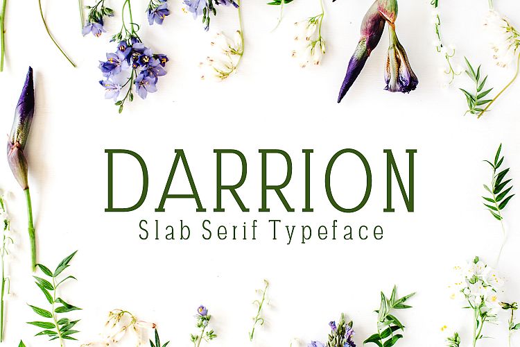 Darrion Slab Serif Typeface