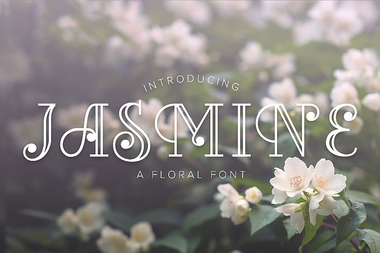 Jasmine 