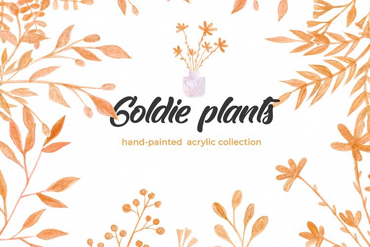 Goldie Plants Collection