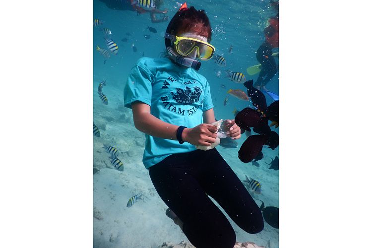 diving play with fish, and a scenic waterfall