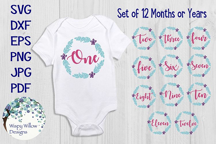Baby Monthly Milestone Bundle