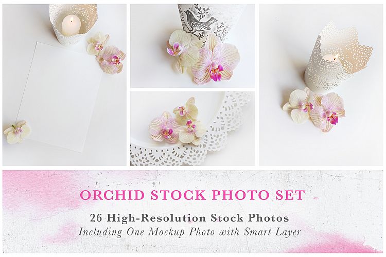 Orchid Stock Photo Set
