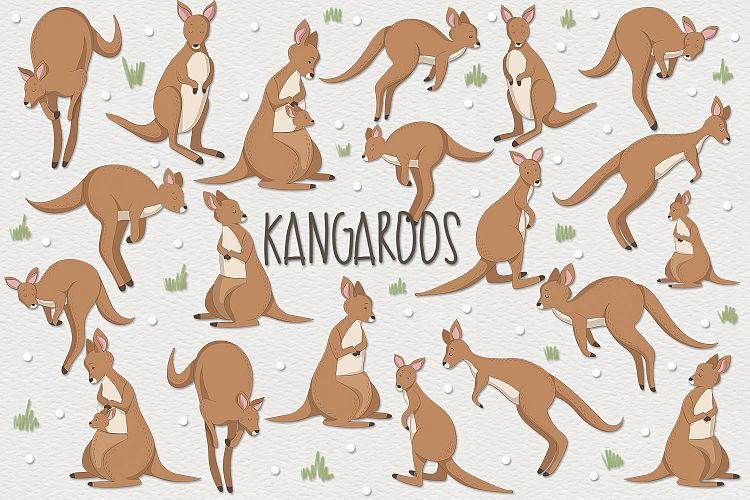 Kangaroos