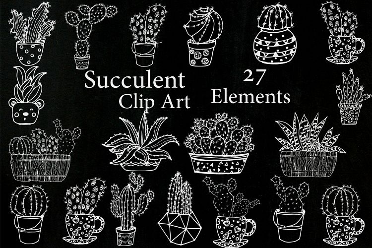 Chalkboard Succulent Clipart