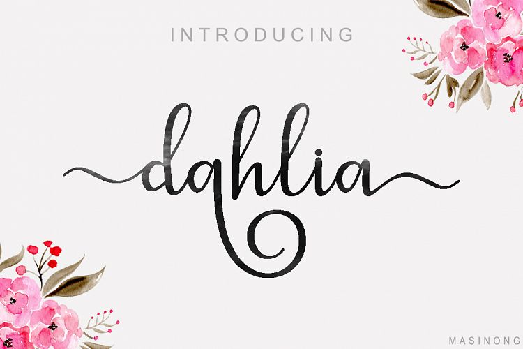 dahlia script