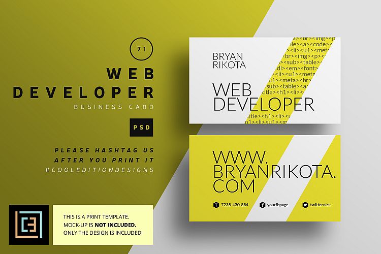 Web Developer Business Card - BC071