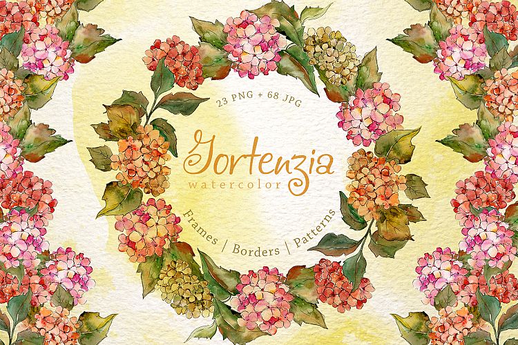 Gortenzia PNG watercolor flower set