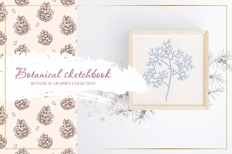 Botanical sketchbook. Vol.1