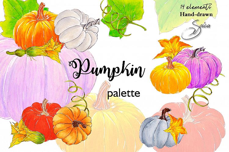 Pumpkins. Hand pained clip art.