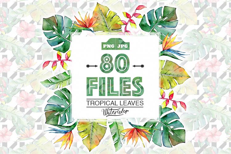 Tropical leaves PNG watercolor set