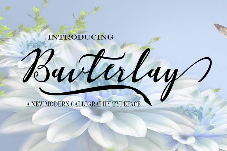 Bavterlay