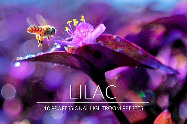 Lilac Lr Presets