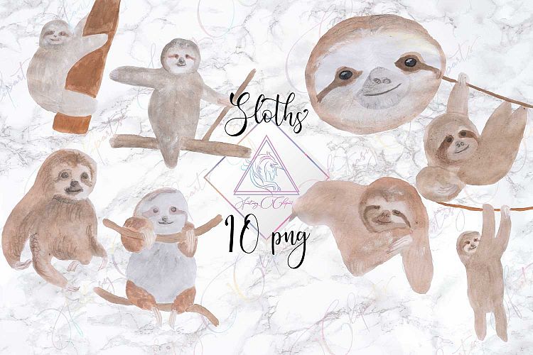 Hand Drawn Watercolor Sloth Clipart