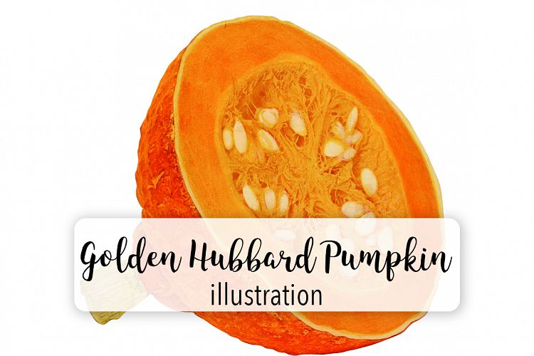 Golden Hubbard Pumpkin