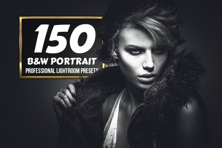 B&W Portrait - 150 Lightroom Presets