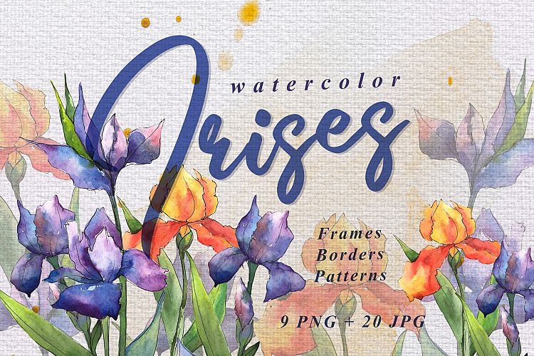 Orange and purple irises PNG watercolor set