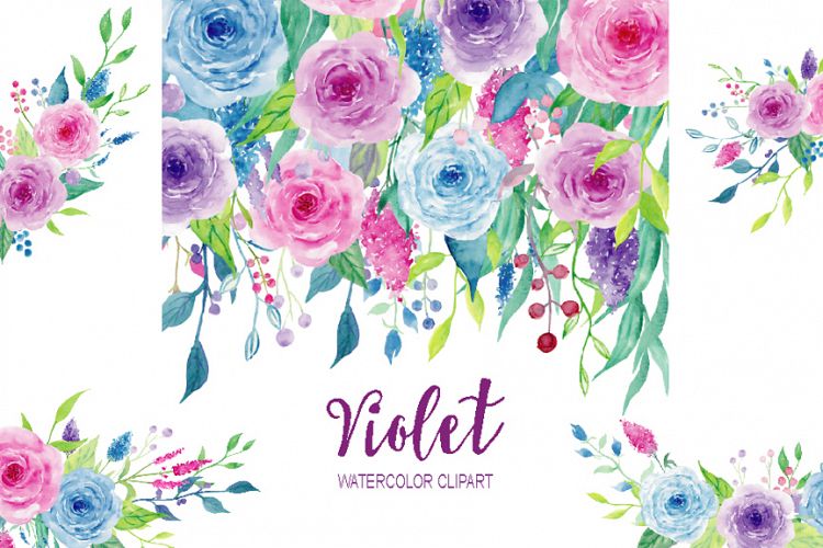Watercolor Clipart Violet Collection 