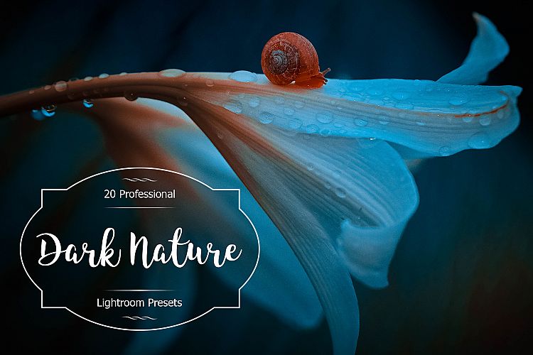 Dark Nature Lr Presets