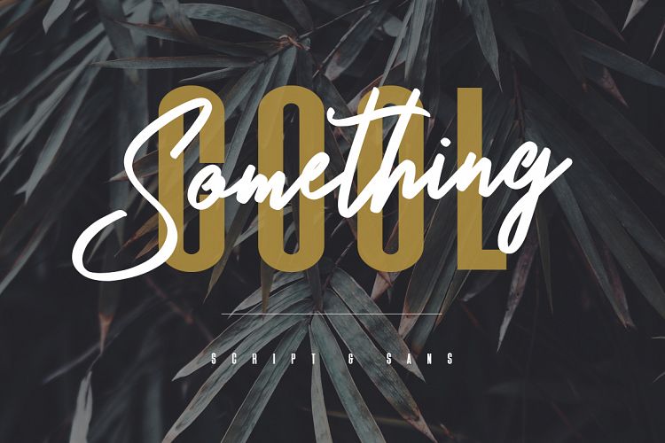 Something Cool - Font Duo