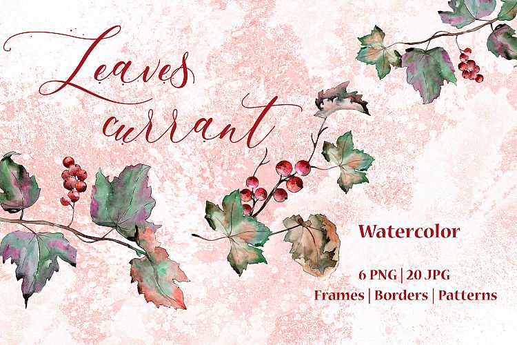 Leaves currant PNG watercolor set