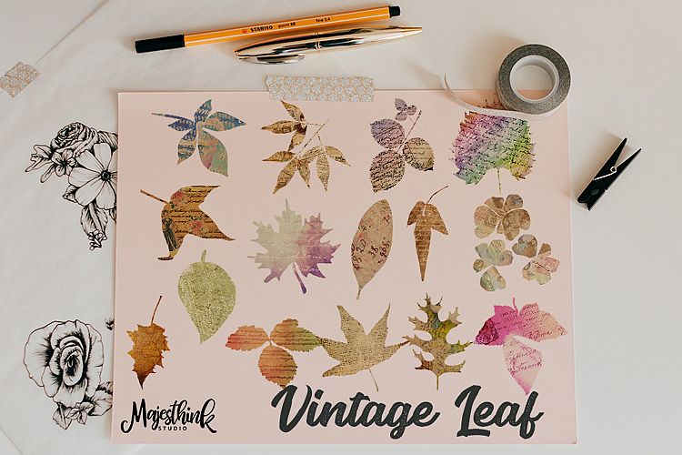 Vintage Leaf Clip Art - with Old Paper Postcard Texture Distressed Grunge Brown Color