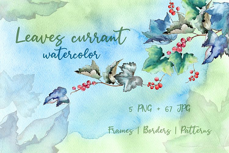 Leaves currant PNG watercolor set