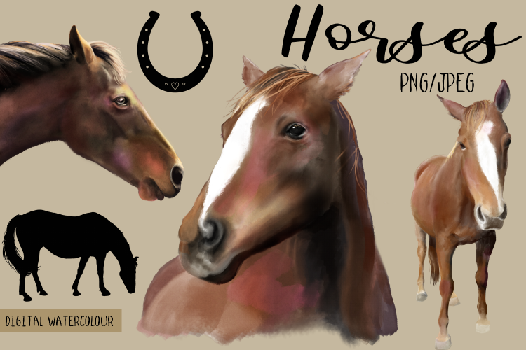 Horses | Digital Watercolor Clip Art | PNG/JPEG