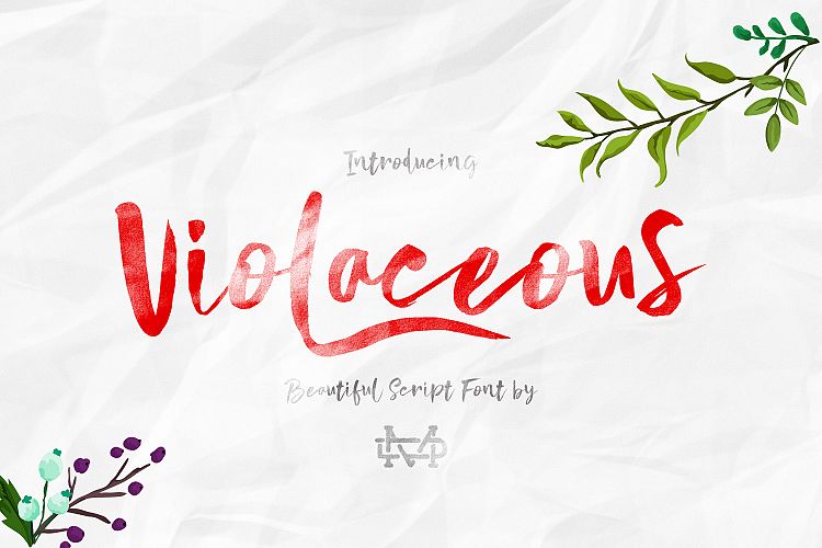 Violaceous - Brush Script