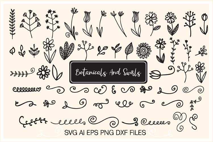 Botanicals And Swirls