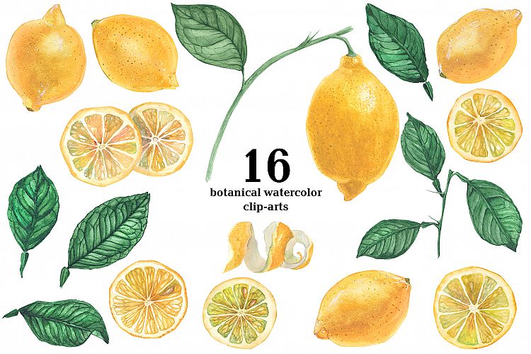 Lemon Garden. Botanical Watercolor
