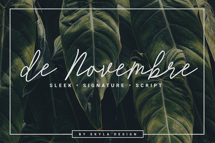 Free Monoline Signature Script De Novembre Script Fonts