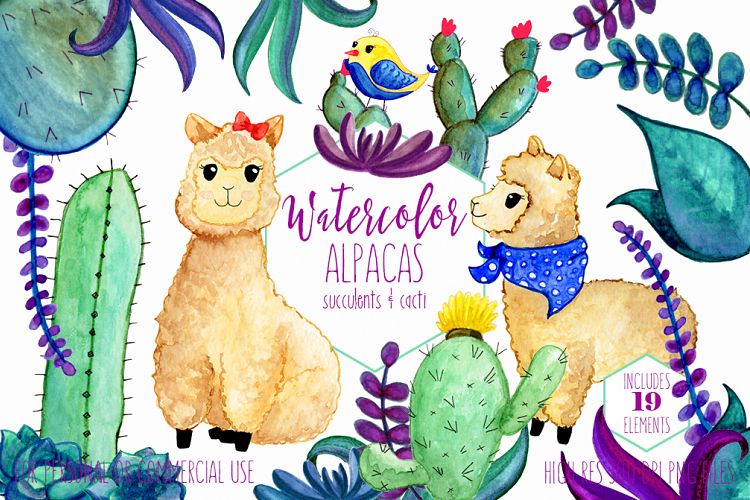 WATERCOLOR LLAMAS & CACTUS Clipart Llama Clip Art Cute Alpacas Succulents Cacti Plants Hand Drawn Clipart Kawaii Llama Graphics