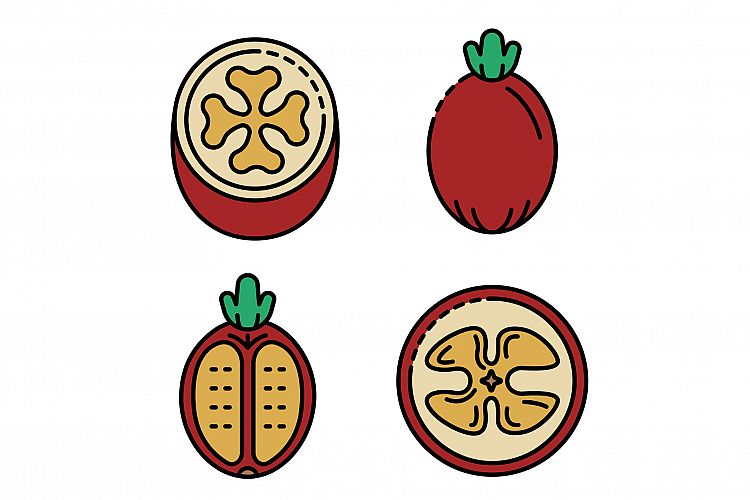 Feijoa icons set vector flat example image 1