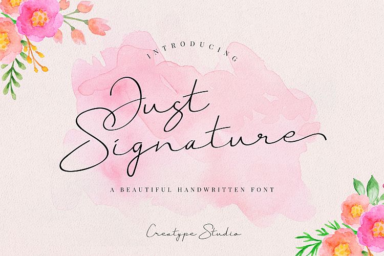 Just Signature Script