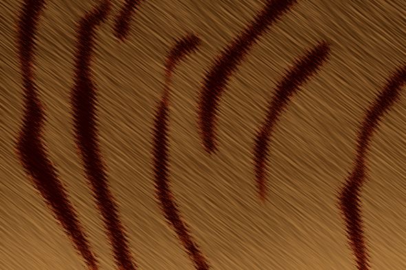 Tiger Abstract Background